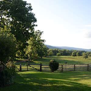 Beautiful eco-pastures are among the many alluring features of the farm. Eat breakfast with the cows as you watch the sunrise.