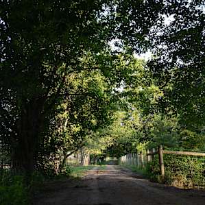 More beautiful trails....