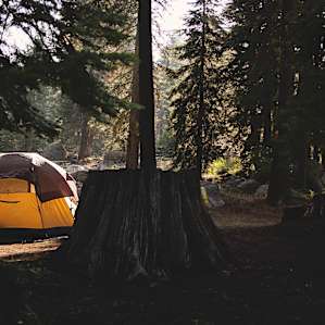 Great campsite in the woods