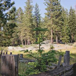 Beautiful 40 acres to explore