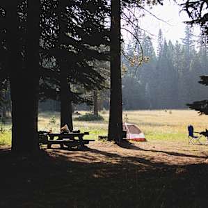 Huge site, with trees and a gorgeous meadow