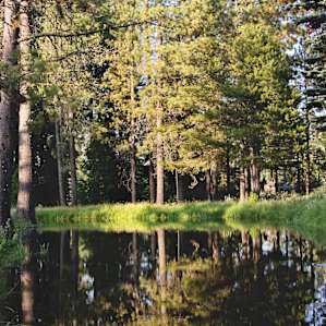 Lake fed by the spring.