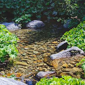 Waterfalls and wading pools just a few miles from Silver Fork