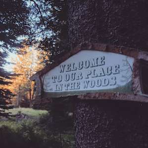 Camp site #2