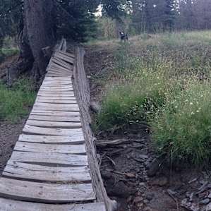 Fallen bridge