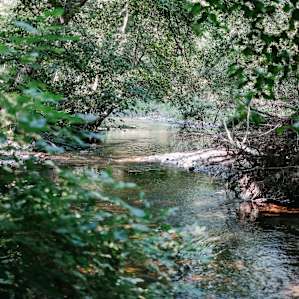 Further down the river. Deep enough for a dip!