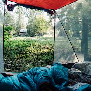 Morning view from our tent by the creek