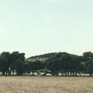 Four Sisters Ranch Camp, Utopia