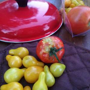 The tomatoes were were kindly given, made sure to try them out!