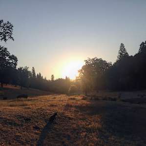 Sunrise