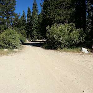 Main campsite road