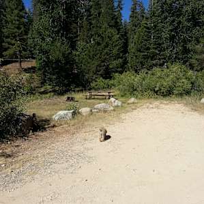 View across campsite #3