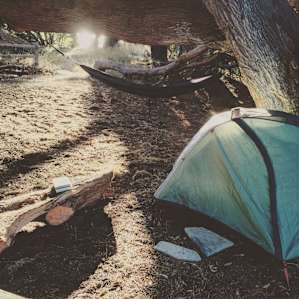 Tent - check. Hammock - check. Sun peeking through the trees - check. You could say I'm a happy camper...