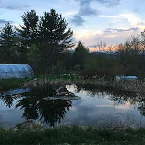 Meadow Camping