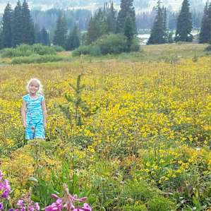 Wild flowers are crazy here