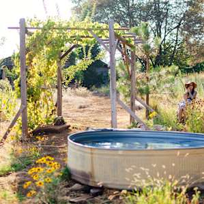 The local soaking tub is a good alternative to some of the other cooling-off methods found at Forest Springs