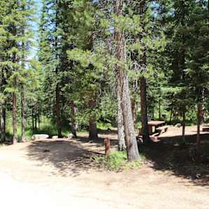 Sites tucked into the woods
