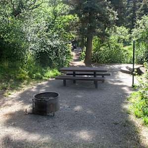 Campsite #9 - 100 yards off road, behind #10, very private and quiet. Loved this spot.