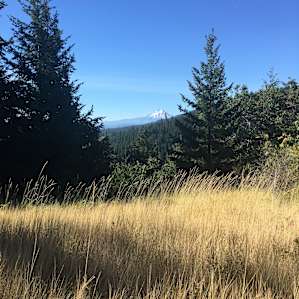 Farmstay - Good Medicine Tipi