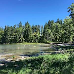 Whitefish Lake, near Pet Area