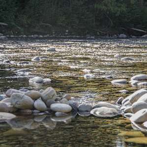 Lochsa River low in late summer