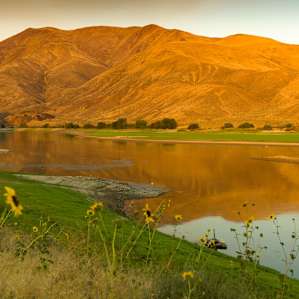 Snake River from campground