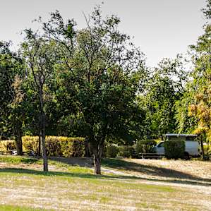 Campsites from near amphitheater