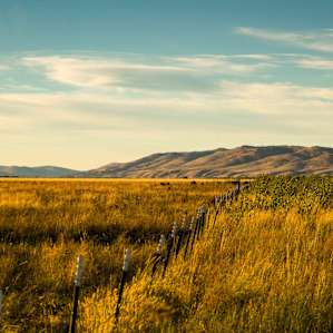 Goose Lake Goose Lake