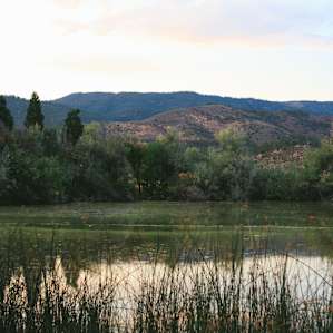 Tom and Jan Ball set aside two acres to create a small animal sanctuary populated by various birds and critters.