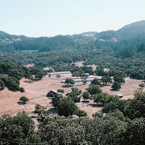 View of the farm across the street.