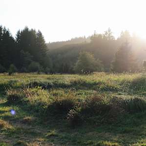 Beautiful sunny wetlands at sunset, looking east. You can camp and explore anywhere out there in the dry season.