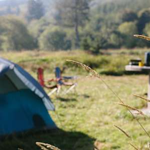 The tall grass is your backdrop and provides the whole area with it's natural feel and earthy setting.