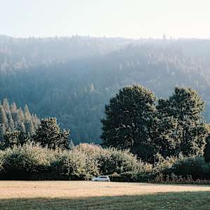 Beautiful early morning view of the meadow!