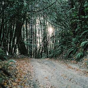 Early morning walk up the hill to the cottage area.