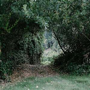 Riverview path.