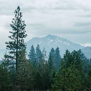 Mt. Shasta in the early morning from the meadows.
