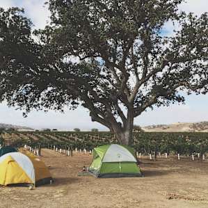 Camping near Cabernet