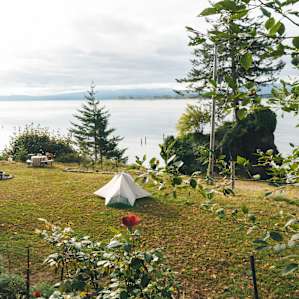 Roses surround your campsite