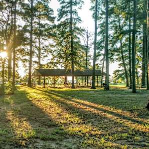 Knights Bluff Campground