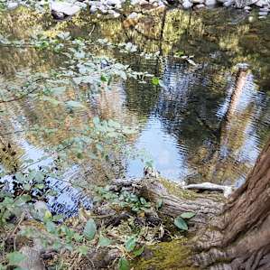 This beautiful creek right behind your tent