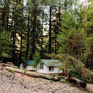 Nestled in the woods