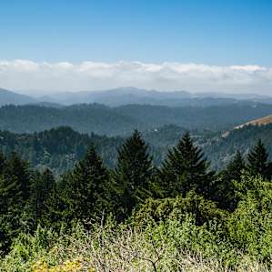 Views on the way in from Alpine Road