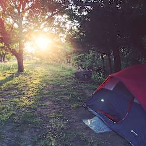 Campsite by the stream.