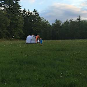 Nestled on Field Edges or by Pond