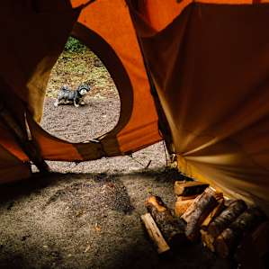 View out of the tipi door