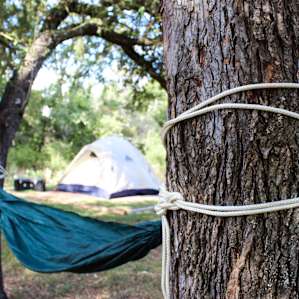 There are lots of great trees for Ham-mocking in your campground space.