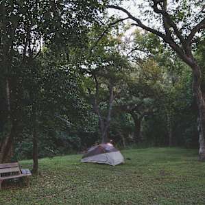 tent forest lodging