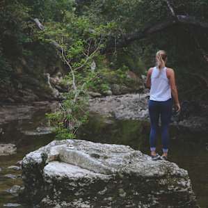forest water