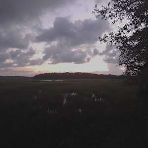 View from our site.