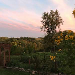The Farm Upstate The Farm Upstate
